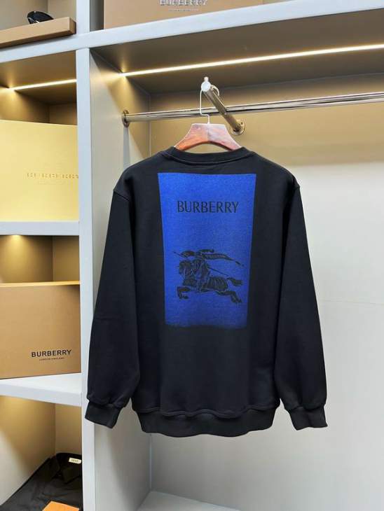 Picture of Burberry Sweatshirt _SKUBurberryS-2XLaztx875931011